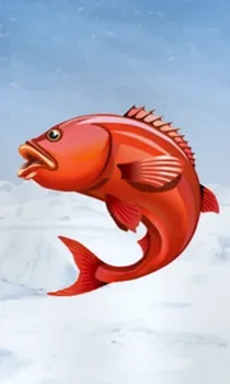 Ice Fishing
