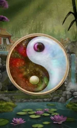 Panda Money